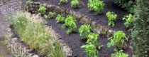 IMG_2478 IMG_2478